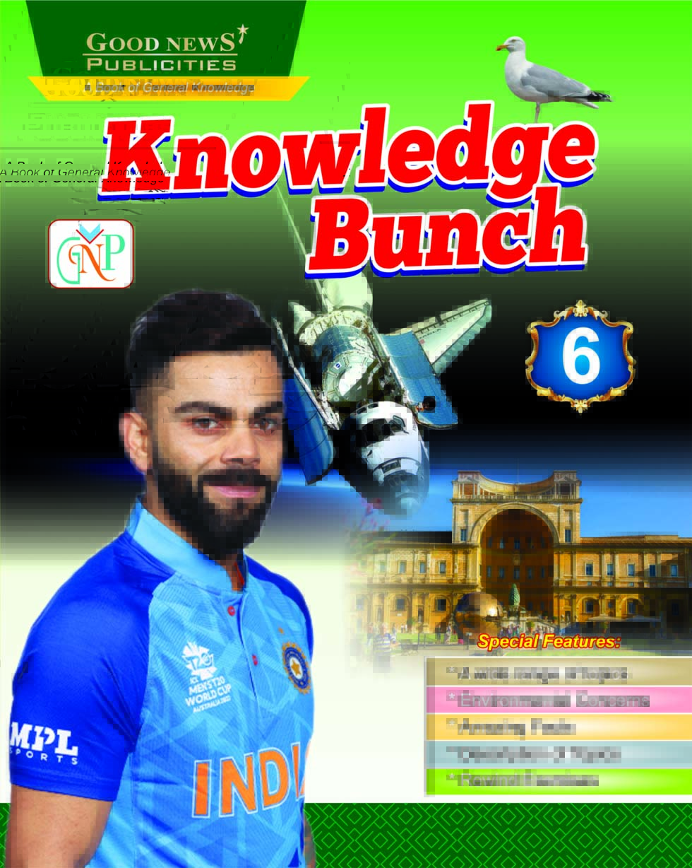Knowledge Bunch - 6